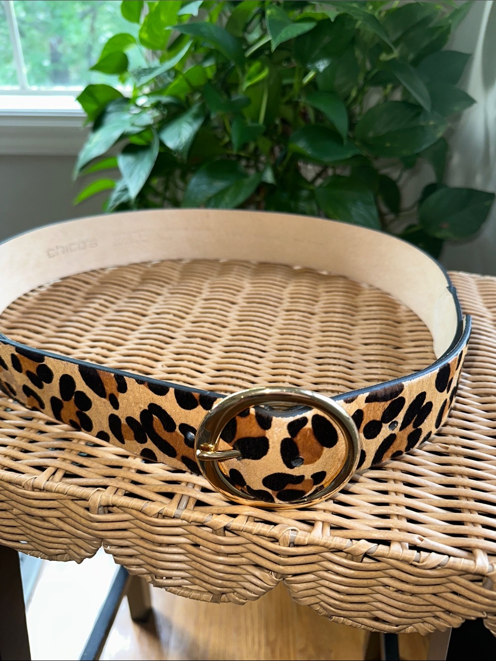 Chico's Leopard Print Belt with Gold Oval Buckle - Tan & Black size medium